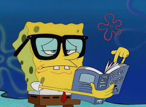Spongebob Squarepants with a book, acknowledging that he has insight on his business that he can use to determine his Google Ads budget