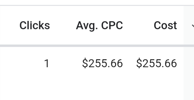 Screenshot from a small business Google Ads account showing a single click that cost $255.