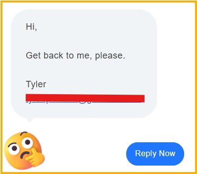 An example of Google Ads spam, showing a screenshot from a suspicious chat message sent to the advertiser, asking for generic information.